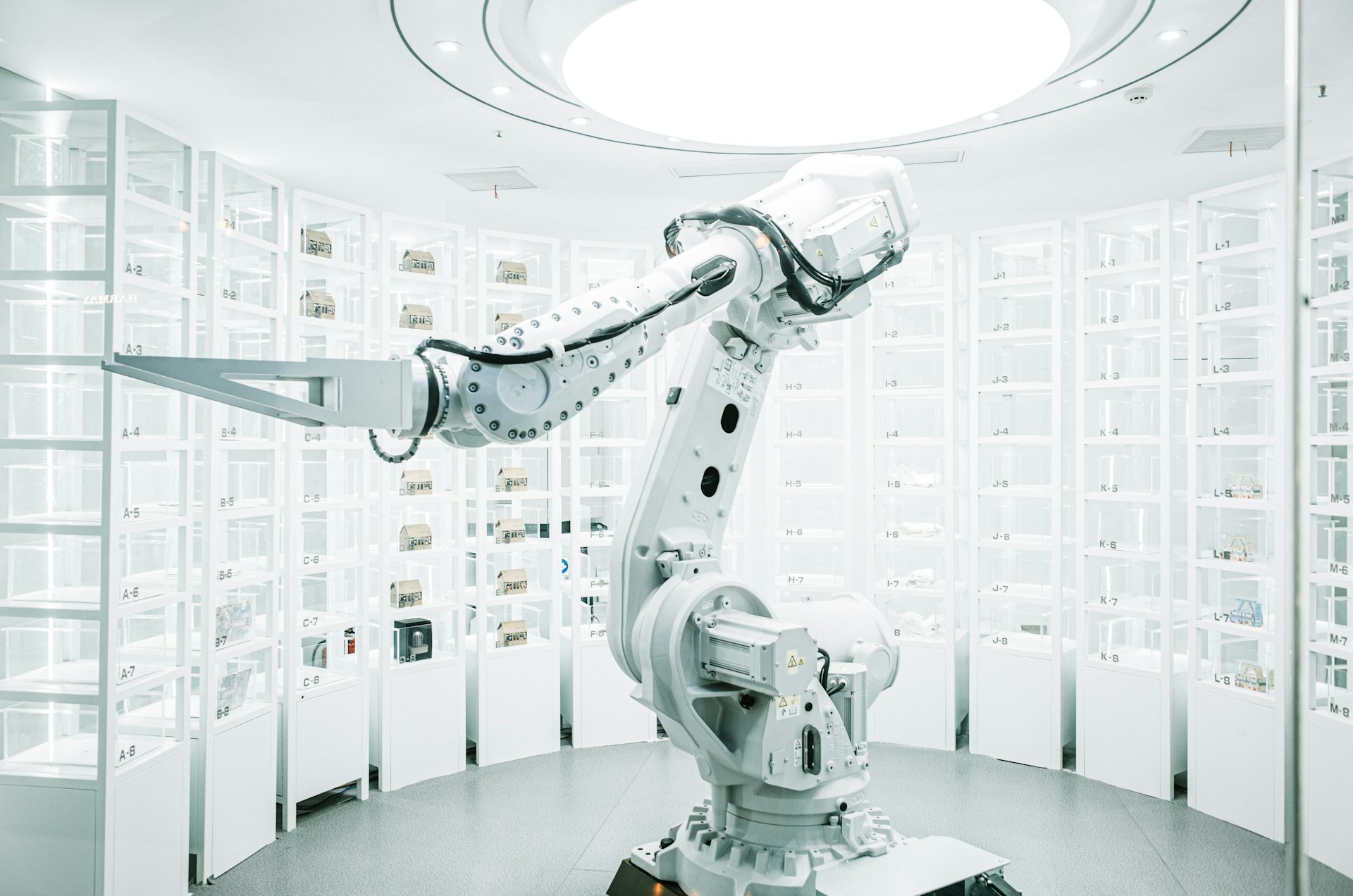 AI Applications in E-Commerce: Artificial Intelligence for Online Stores 2025