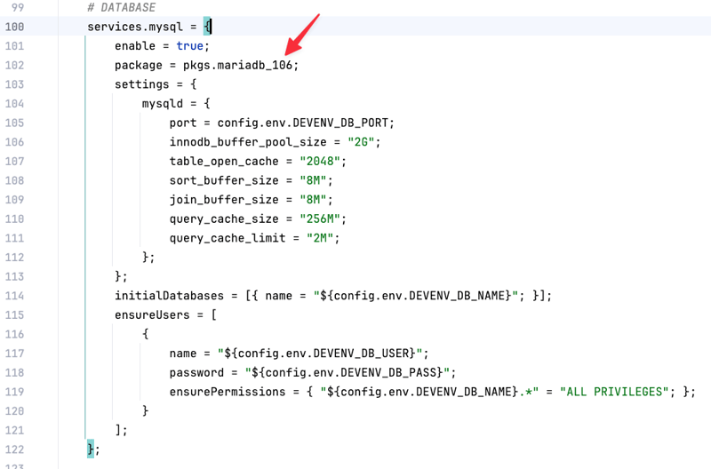 MariaDB-Konfiguration in devenv.nix